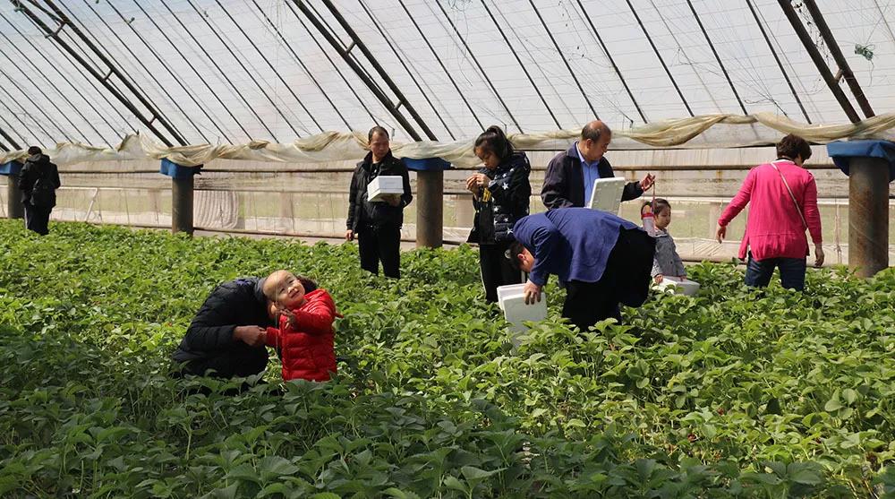 ΢ÐÅͼƬ_20200304141453.jpg ΢ÐÅͼƬ_20200304141453.jpg